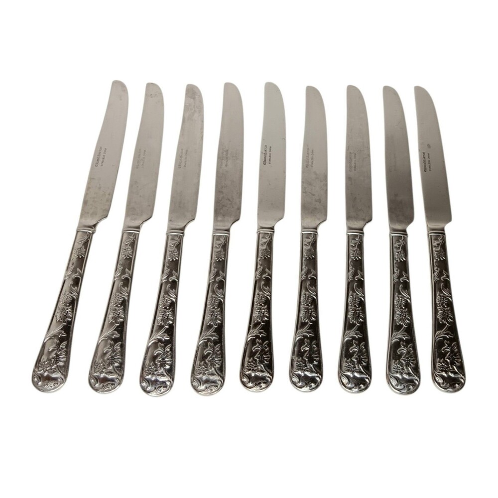 Reed & Barton Queens Garden 9 Dinner Knives Glossy Stainless Flatware Floral
